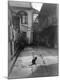 Photographic Print