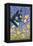 A Cat in a Sea of Flowers-Louis Wain-Framed Premier Image Canvas