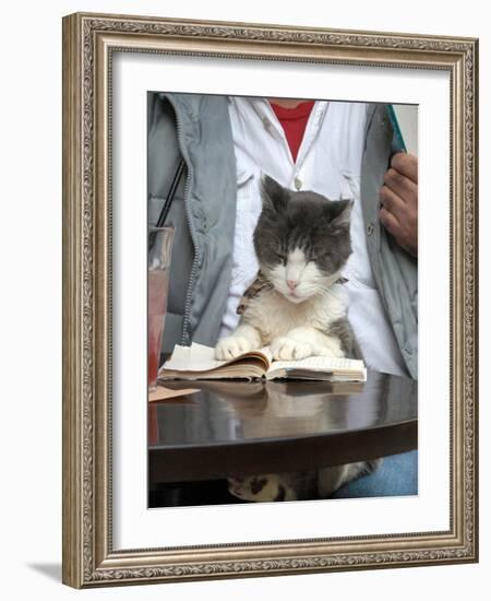 A Cat Joins its Owner Reading a Book at a Tokyo Cafe-null-Framed Photographic Print