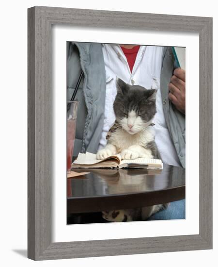 A Cat Joins its Owner Reading a Book at a Tokyo Cafe-null-Framed Photographic Print