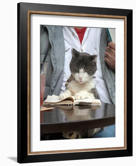 A Cat Joins its Owner Reading a Book at a Tokyo Cafe-null-Framed Photographic Print