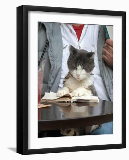 A Cat Joins its Owner Reading a Book at a Tokyo Cafe-null-Framed Photographic Print