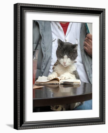 A Cat Joins its Owner Reading a Book at a Tokyo Cafe-null-Framed Photographic Print