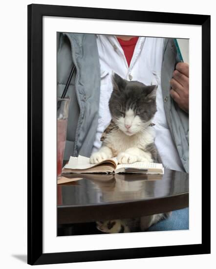 Photographic Print, , large