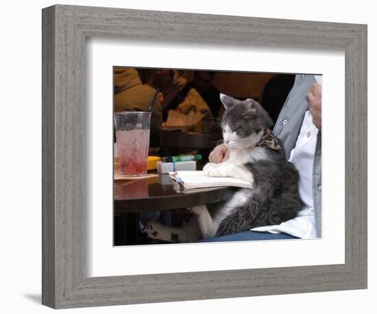 A Cat Joins its Owner Reading a Book at a Tokyo Cafe-null-Framed Photographic Print