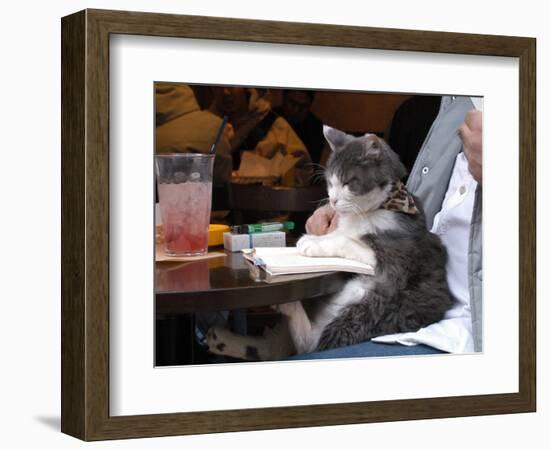 A Cat Joins its Owner Reading a Book at a Tokyo Cafe-null-Framed Photographic Print