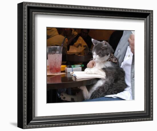 A Cat Joins its Owner Reading a Book at a Tokyo Cafe-null-Framed Photographic Print