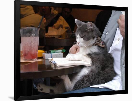 Photographic Print, , large