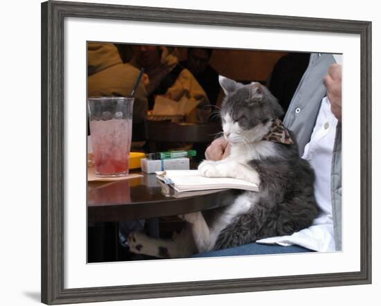 A Cat Joins its Owner Reading a Book at a Tokyo Cafe-null-Framed Photographic Print