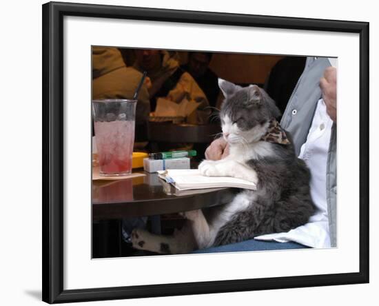 A Cat Joins its Owner Reading a Book at a Tokyo Cafe-null-Framed Photographic Print