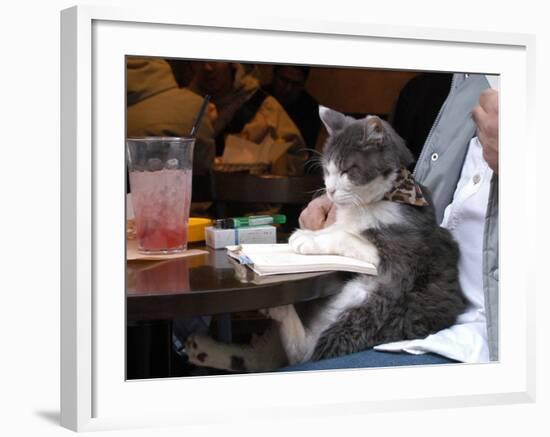 A Cat Joins its Owner Reading a Book at a Tokyo Cafe-null-Framed Photographic Print