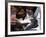 A Cat Joins its Owner Reading a Book at a Tokyo Cafe-null-Framed Photographic Print