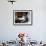 A Cat Joins its Owner Reading a Book at a Tokyo Cafe-null-Framed Photographic Print displayed on a wall