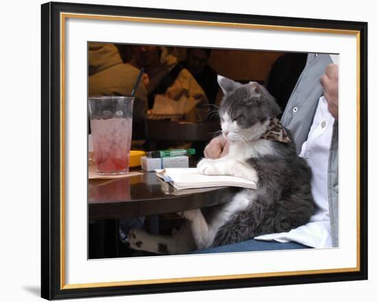 A Cat Joins its Owner Reading a Book at a Tokyo Cafe-null-Framed Photographic Print