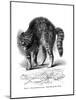 A Cat Terrified by a Dog, 1872-null-Mounted Giclee Print