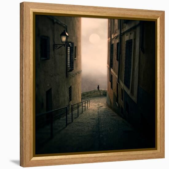 A Cat Watching the Moon in a Dark Street-Luis Beltran-Framed Premier Image Canvas