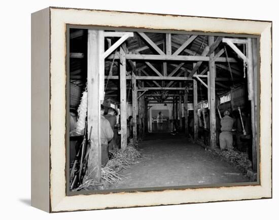 A Catholic Mass is Celebrated in a Stable in Cherbourg, France-null-Framed Premier Image Canvas