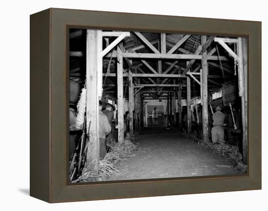 A Catholic Mass is Celebrated in a Stable in Cherbourg, France-null-Framed Premier Image Canvas