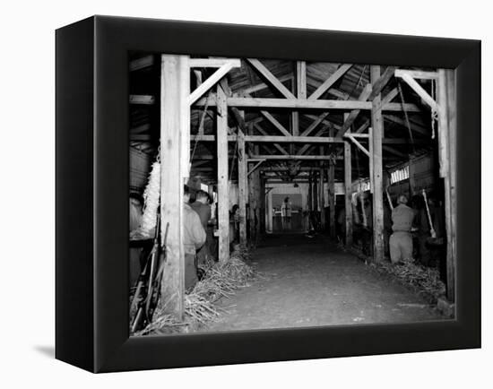 A Catholic Mass is Celebrated in a Stable in Cherbourg, France-null-Framed Premier Image Canvas