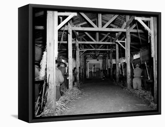 A Catholic Mass is Celebrated in a Stable in Cherbourg, France-null-Framed Premier Image Canvas