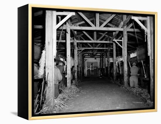 A Catholic Mass is Celebrated in a Stable in Cherbourg, France-null-Framed Premier Image Canvas