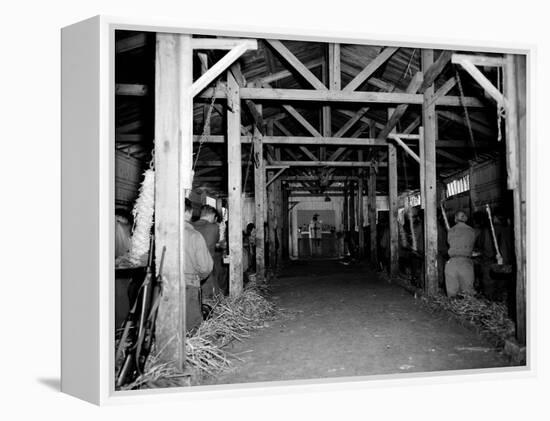 A Catholic Mass is Celebrated in a Stable in Cherbourg, France-null-Framed Premier Image Canvas