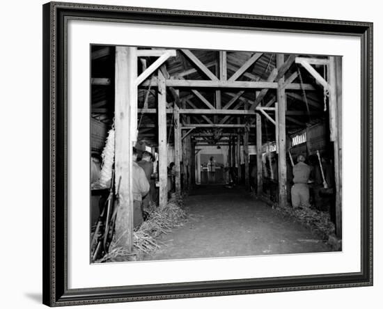 A Catholic Mass is Celebrated in a Stable in Cherbourg, France-null-Framed Photographic Print