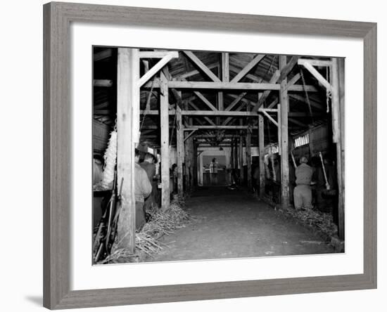 A Catholic Mass is Celebrated in a Stable in Cherbourg, France-null-Framed Photographic Print