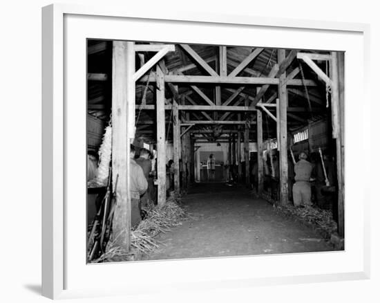 A Catholic Mass is Celebrated in a Stable in Cherbourg, France-null-Framed Photographic Print