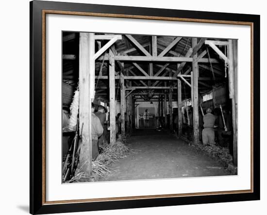 A Catholic Mass is Celebrated in a Stable in Cherbourg, France-null-Framed Photographic Print