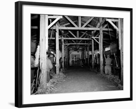 A Catholic Mass is Celebrated in a Stable in Cherbourg, France-null-Framed Photographic Print