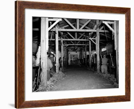 A Catholic Mass is Celebrated in a Stable in Cherbourg, France-null-Framed Photographic Print