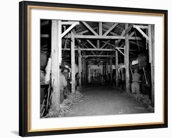 A Catholic Mass is Celebrated in a Stable in Cherbourg, France-null-Framed Photographic Print