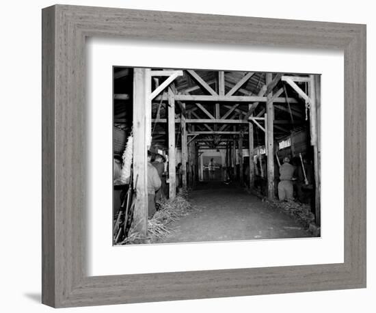 A Catholic Mass is Celebrated in a Stable in Cherbourg, France-null-Framed Photographic Print