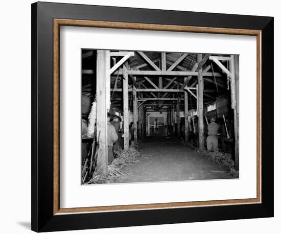 A Catholic Mass is Celebrated in a Stable in Cherbourg, France-null-Framed Photographic Print