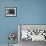 A Catholic Mass is Celebrated in a Stable in Cherbourg, France-null-Framed Photographic Print displayed on a wall