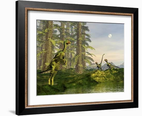 A Caudipteryx Watching Dilong Dinosaurs Approaching-Stocktrek Images-Framed Art Print