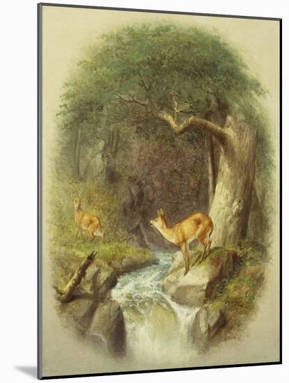 A Cautious Crossing-William Holbrook Beard-Mounted Giclee Print