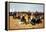 A Cavalryman's Breakfast on the Plains-Frederic Sackrider Remington-Framed Stretched Canvas