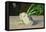 A Celery Root-Odilon Redon-Framed Premier Image Canvas