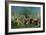 A Centennial of Independence, 1892-Henri Rousseau-Framed Giclee Print