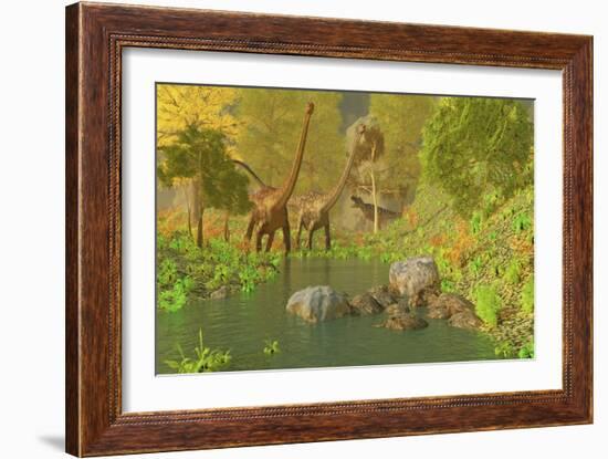 A Ceratosaurus Tries to Sneak Up Behind Two Diplodocus Dinosaurs-Stocktrek Images-Framed Art Print