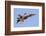 A Cf-188 Hornet of the Royal Canadian Air Force in 70th Anniversary Markings-Stocktrek Images-Framed Photographic Print