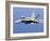 A CF-188A Hornet of the Royal Canadian Air Force-Stocktrek Images-Framed Photographic Print