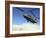 A CH-47 Chinook Prepares to Land-Stocktrek Images-Framed Photographic Print