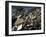 A Chair is Seen on the Rubble of a Collapsed Apartment Complex-null-Framed Photographic Print