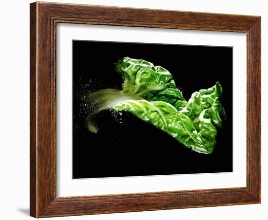 A Chard Leaf in Oil-null-Framed Photographic Print