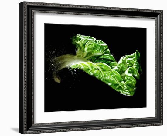 A Chard Leaf in Oil-null-Framed Photographic Print