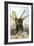 A Charging Styracosaurus-Stocktrek Images-Framed Art Print