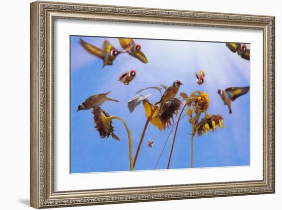 A Charm of Goldfinches, 2021, (digital painting)-Helen White-Framed Giclee Print